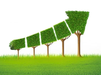 什么是碳邊境調(diào)節(jié)機(jī)制，對中國有哪些影響？